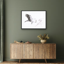 Load image into Gallery viewer, White Bellied Sea Eagle Print