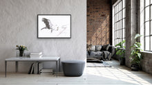 Load image into Gallery viewer, White Bellied Sea Eagle Print