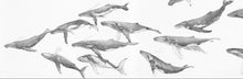 Load image into Gallery viewer, Humpback Whale Migration Fine Art Print