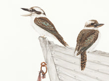 Load image into Gallery viewer, Kookaburra Print