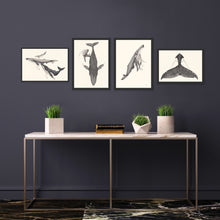 Load image into Gallery viewer, Humpback Whale Set