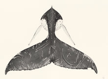 Load image into Gallery viewer, Humpback Whale Set