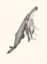 Load image into Gallery viewer, Humpback Whale Set
