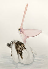 Load image into Gallery viewer, Pelican