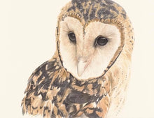 Load image into Gallery viewer, Masked Owl