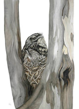 Load image into Gallery viewer, Tawny Frogmouth Print