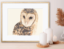 Load image into Gallery viewer, Masked Owl