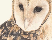Load image into Gallery viewer, Masked Owl