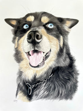 A4 Pet Portraits