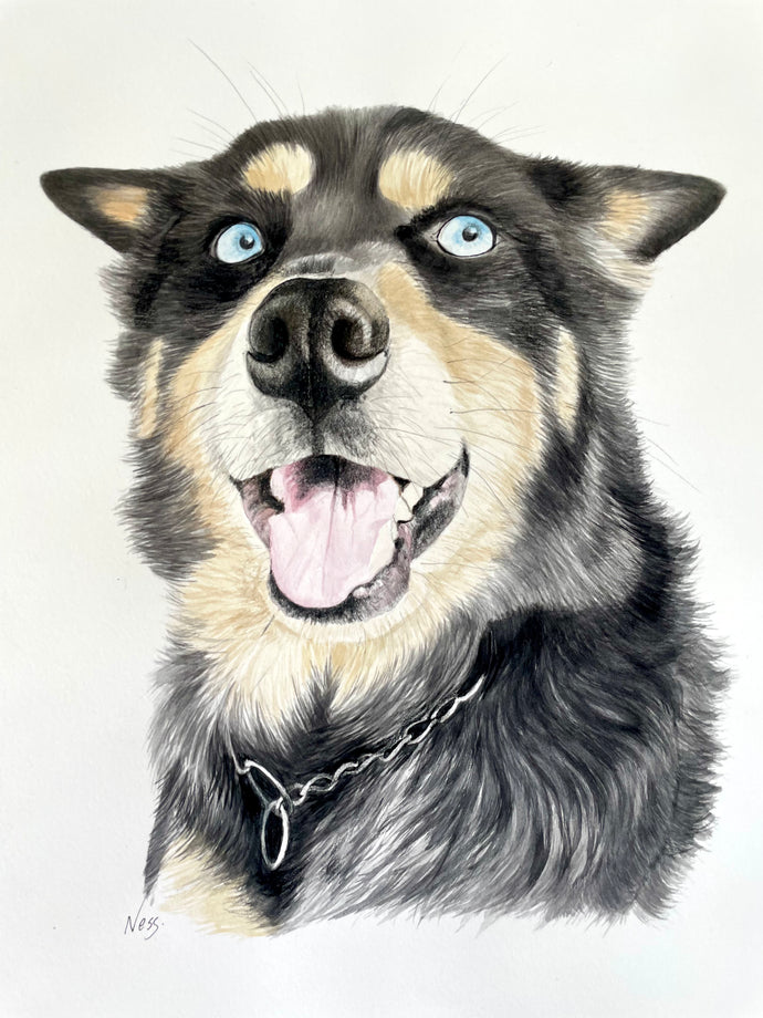 A4 Pet Portraits