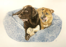 Load image into Gallery viewer, A4 Pet Portraits