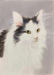 A4 Pet Portraits