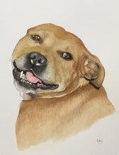Load image into Gallery viewer, A4 Pet Portraits