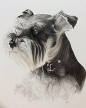 Load image into Gallery viewer, A4 Pet Portraits