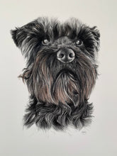 Load image into Gallery viewer, A4 Pet Portraits