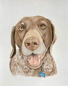 A4 Pet Portraits