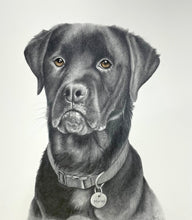 Load image into Gallery viewer, A4 Pet Portraits
