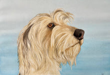 Load image into Gallery viewer, A4 Pet Portraits