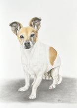 Load image into Gallery viewer, A4 Pet Portraits