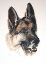 Load image into Gallery viewer, A4 Pet Portraits