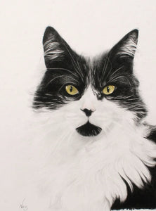 A4 Pet Portraits