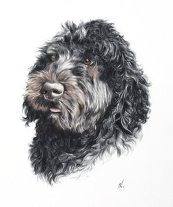 A4 Pet Portraits
