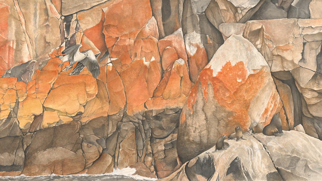 Schouten Island - Freycinet National Park Print