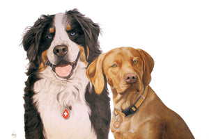 A 2 Pet Portraits