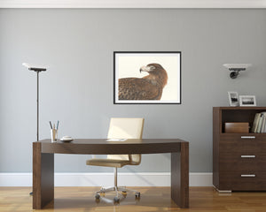Wedge-tailed Eagle Print