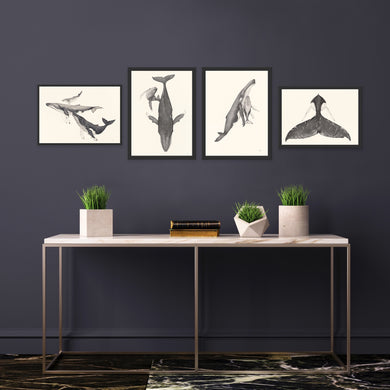Humpback Whale Set