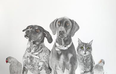 A 2 Pet Portraits