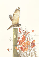 Load image into Gallery viewer, Taking Flight