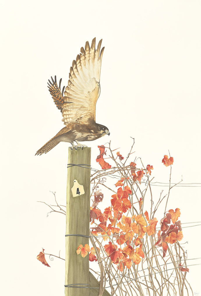 Taking Flight