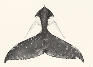 Humpback Whale Set