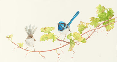 Vineyard Lovers Print