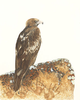 Guardian Print