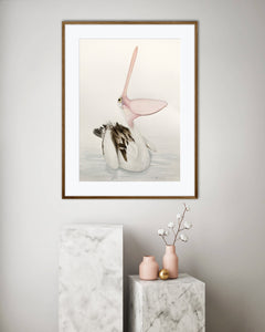 Pelican