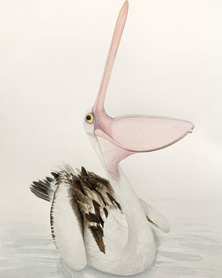 Pelican
