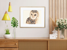 Load image into Gallery viewer, Masked Owl