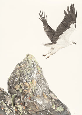 Reach for Greater Heights Print
