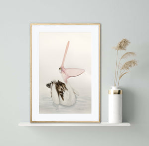 Pelican