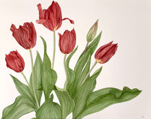 Load image into Gallery viewer, Tulips