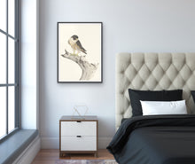 Load image into Gallery viewer, Peregrine Falcon Print