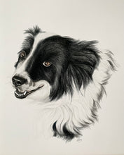 Load image into Gallery viewer, A3 Pet Portraits