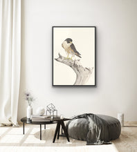 Load image into Gallery viewer, Peregrine Falcon Print
